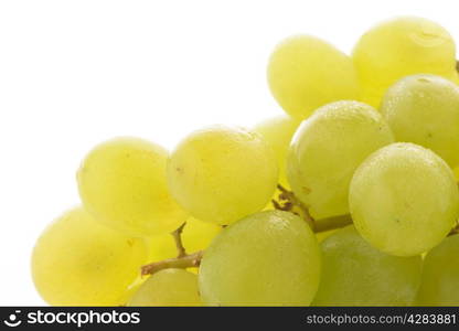 bunch of ripe and juicy green grapes close-up on a white background