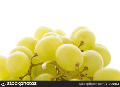 bunch of ripe and juicy green grapes close-up on a white background