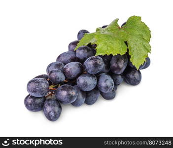 bunch of ripe black grapes with water drops isolated on white background