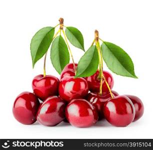 Bunch of ripe cherries with leaves isolated on white background. Bunch of ripe cherries with leaves