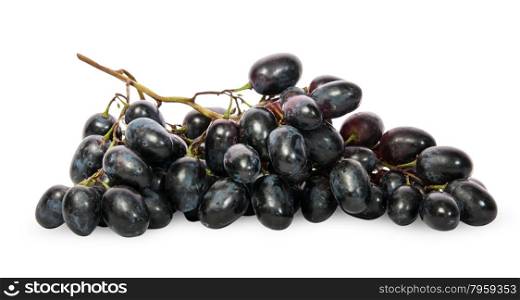 Bunch of ripe dark grapes isolated on white background
