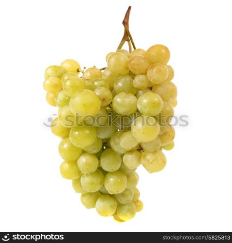 Bunch of ripe grapes isolated on white background