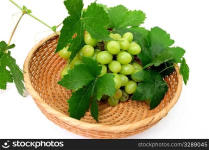 Bunch of seedless grapes and grapevine in a wicker basket on a white background. Green Seedless Grapes