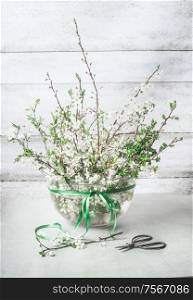 Bunch of spring cherry blossom twigs in vase on white table with scissors and green ribbon. Springtime decorations concept