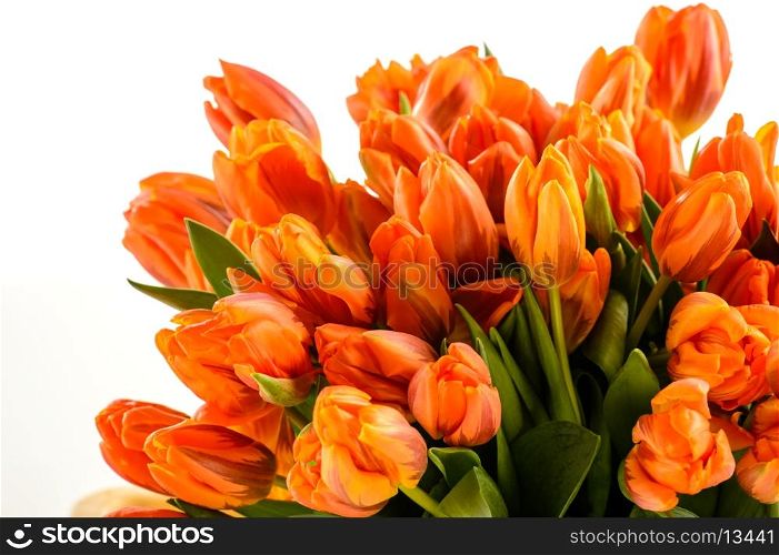 Bunch of spring tulips flowers on white background