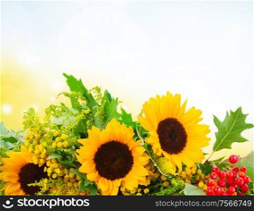 Bunch of sunflowers with green leaves and red berries on wood, blue bokeh sky in background. Sunflowers with green leaves