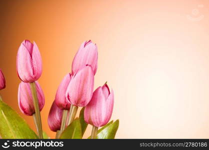 Bunch of tulip flowers on the table