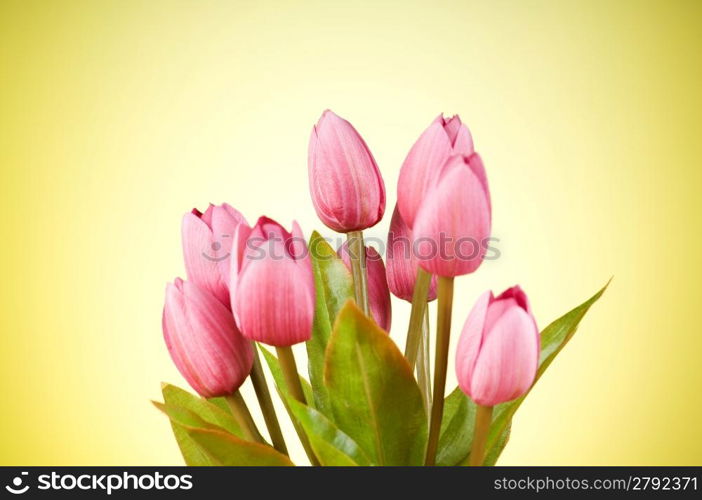 Bunch of tulip flowers on the table