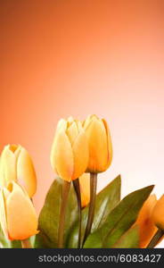 Bunch of tulip flowers on the table