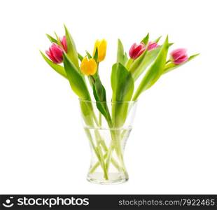 Bunch of tulips in the vase, isolate on white background