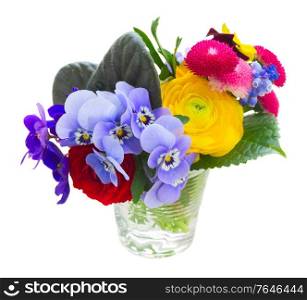 Bunch of violets, pansies, daisies and ranunculus in glass isolated on white background. Posy of violets, pansies and ranunculus