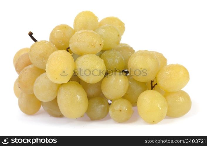 Bunch of wet white grapes isolated on white