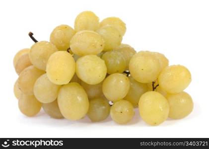 Bunch of wet white grapes isolated on white