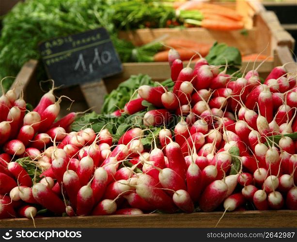Bunch of wholesome, nutritious radishes in market stall for sale