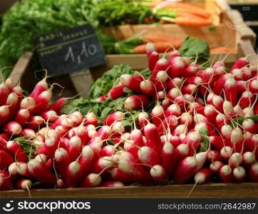 Bunch of wholesome, nutritious radishes in market stall for sale