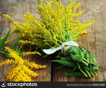 Bunch of yellow Solidago Goldenmosa or Goldenrod on wooden background .. Bunch of yellow Solidago Goldenmosa or Goldenrod on wooden background