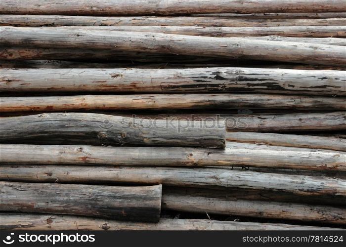 bunches of felled trees at a logging site
