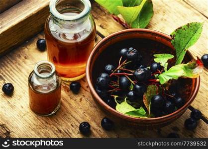 Bunches of fresh chokeberry. Herbal medicine and homeopathy. Chokeberry berries in herbal medicine