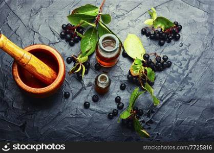 Bunches of fresh chokeberry. Herbal medicine and homeopathy. Chokeberry in herbal medicine,aronia fruit