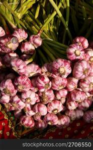 Bunches of fresh garlic