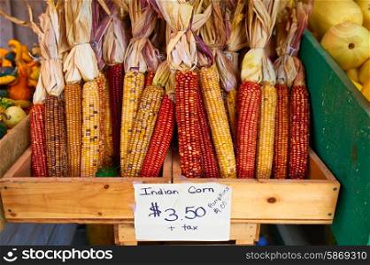 Bunches of indian corn for sale