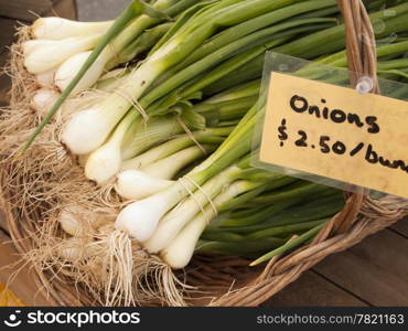 Bunches of organically grown green onions in a basket are for sale at a local farmers market on San Juan Island.