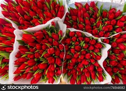 Bunches of red tulip flowers for sale at a florists in a flower market