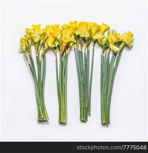 Bunches of yellow daffodils with green stem at white background. Seasonal springtime flower with beautiful petals. Top view.