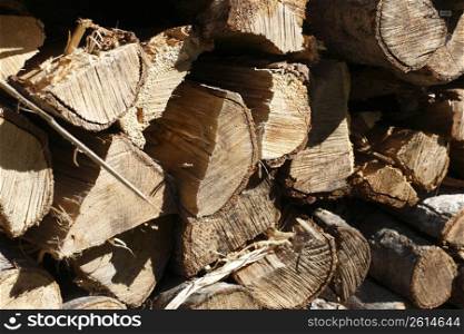Bundle of chopped wood