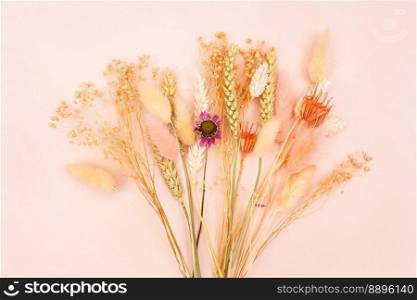 bundle of dried flowers and spikelets on pink pastel background close up with copyspace