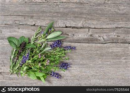 Bundle of fresh herbs. Basil, rosemary, mint, sage, thyme, oregano, marjoram, savory, lavender