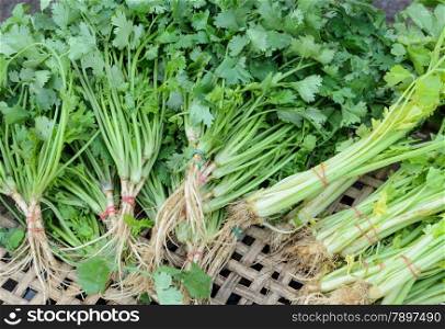 Bundle of fresh vegetables on street market in Thailand
