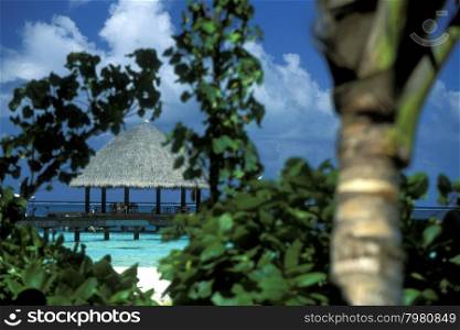 bungalow at the seascape of the island and atoll of the Maldives Islands in the indian ocean.. ASIA INDIAN OCEAN MALDIVES SEASCAPE BUNGALOW
