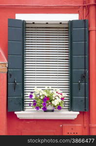 Burano window