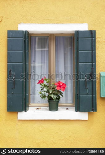 Burano window