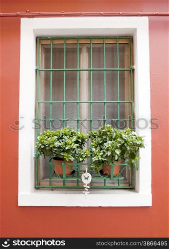 Burano window