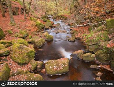 Burbage Brook flowing through Autumnal Padley Gorge in Peak District
