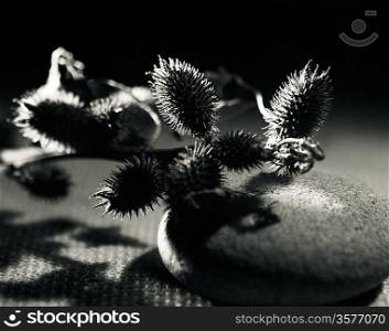 burdock thorn under the bright light still-life. Shot with 50 years old black and white film
