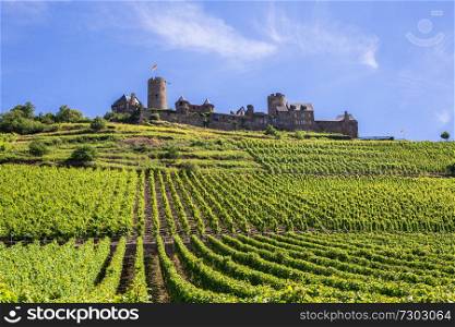 Burg Thurant at the Mosel vineyards