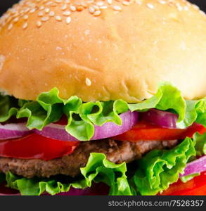 Burger served in bun in nutrition fast food concept. The burger served in bun in nutrition fast food concept