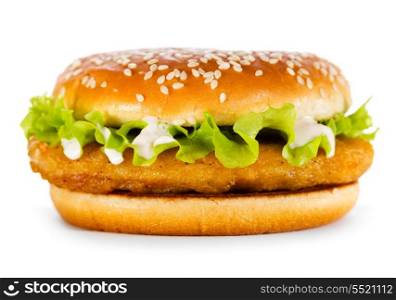 burger with chicken on white background
