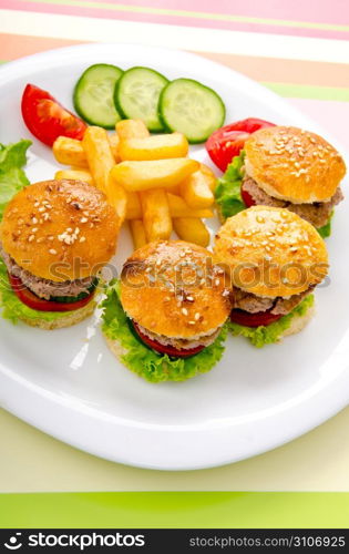 Burgers with french fries in plate