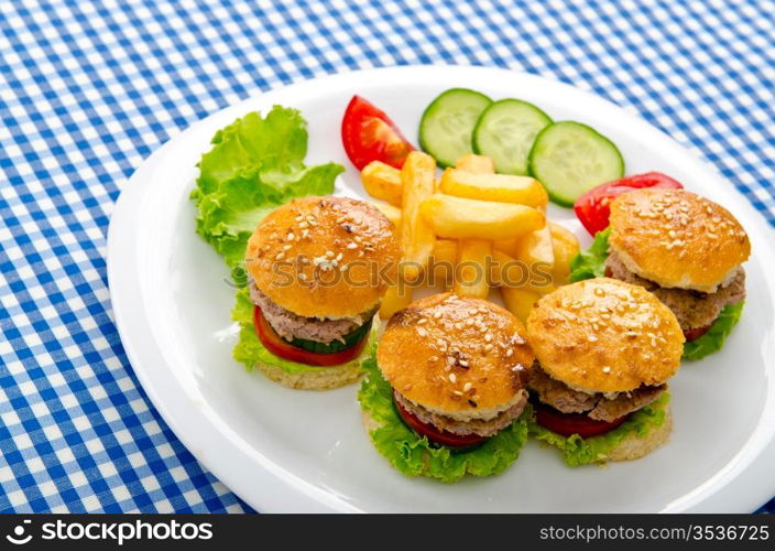 Burgers with french fries in plate