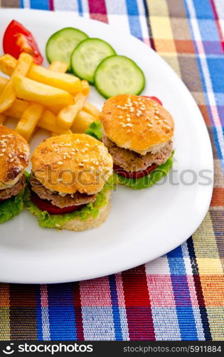 Burgers with french fries in plate