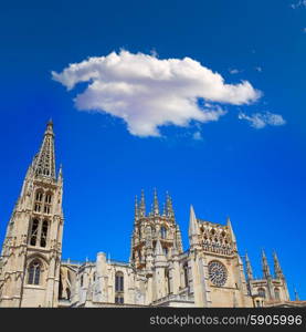 Burgos Cathedral facade in Saint James Way at Castilla Leon of Spain