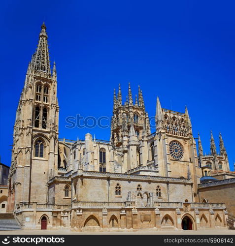 Burgos Cathedral facade in Saint James Way at Castilla Leon of Spain