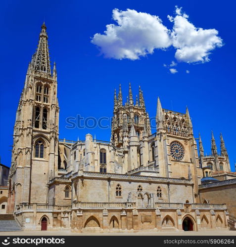 Burgos Cathedral facade in Saint James Way at Castilla Leon of Spain