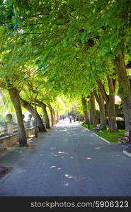 Burgos paseo espolon park trees in Castilla Spain