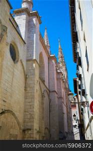 Burgos way to Cathedral on Saint James Way at Castilla Leon of Spain