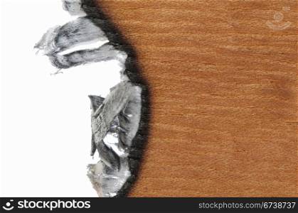 Burned wooden paper and blank space